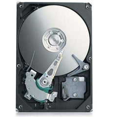 Seagate 250GB HD - 5400RPM4848