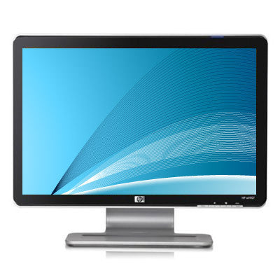 19" Widescreen Flat-Panel LCD Monitor3173